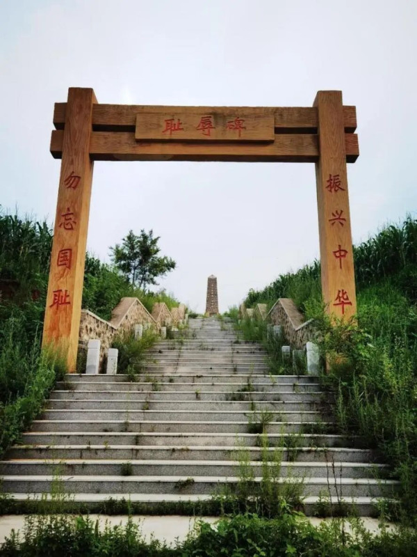 少年周恩来何以“为中华之崛起而读书”?
