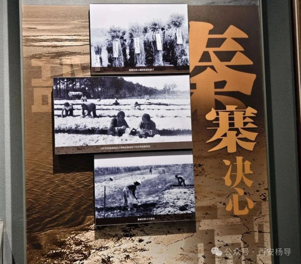 你所不知道的焦裕禄