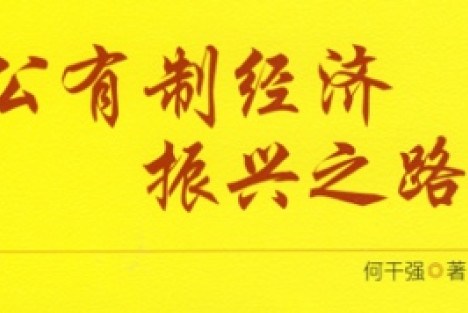 何干强：解决当前重大经济问题必须振兴公有制经济