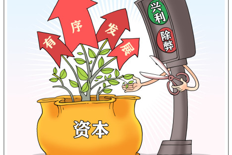 何干强：私有资本不加规范和引导是不可能健康发展的