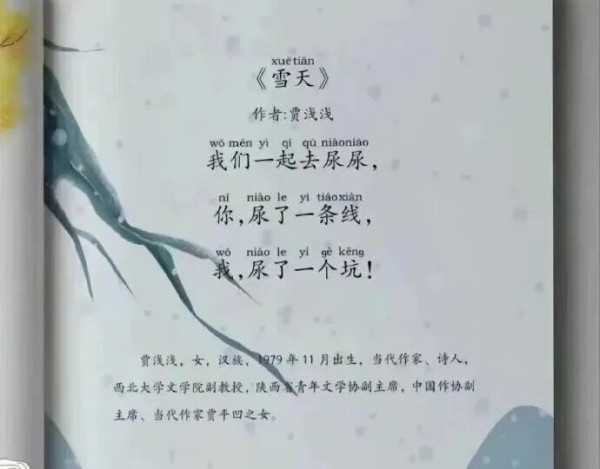 贾浅浅论文涉嫌抄袭，西北大学启动调查程序