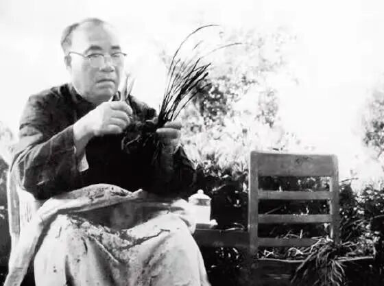 朱德：“不会喝（咖啡）的人才加糖”