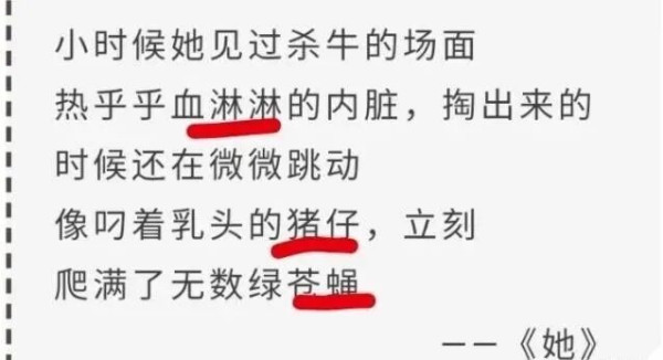 贾浅浅论文涉嫌抄袭，西北大学启动调查程序