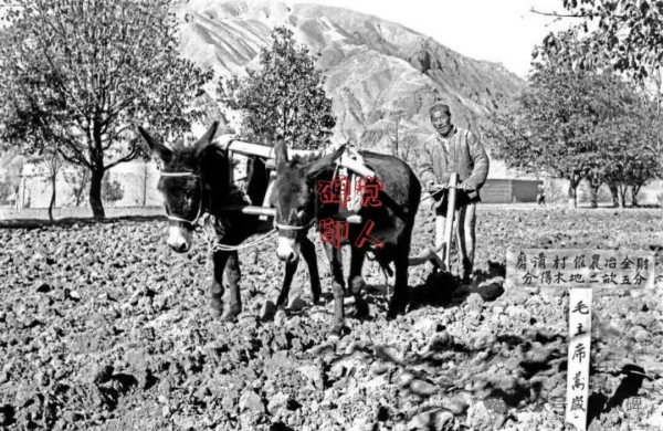 夺印，地主阶级这样给我们“上课”！