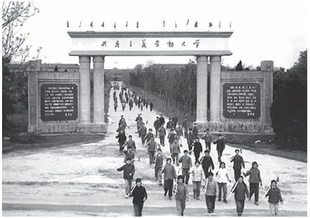 中共历史上的三所劳动大学