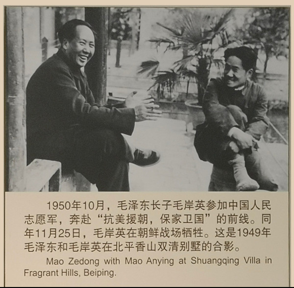 毛岸英与父亲毛泽东二三事