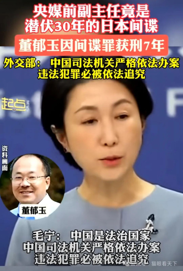 多名日谍落网，网友：还有多少没抓？