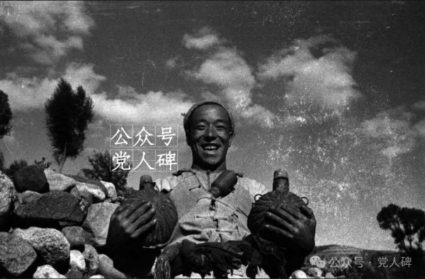 地道战+地雷战＝小村庄打败了“大日本”
